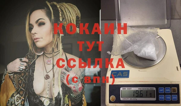 индика Фёдоровский