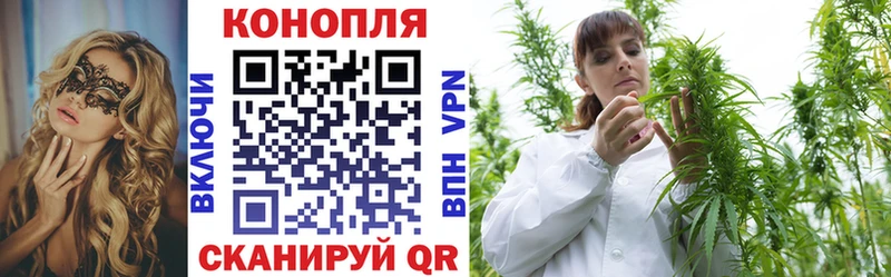 Бошки Шишки VHQ Купить где Петровск-Забайкальский